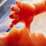 The Tragic, High Price of Committing Abortions